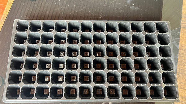 濟(jì)寧PET片材價格